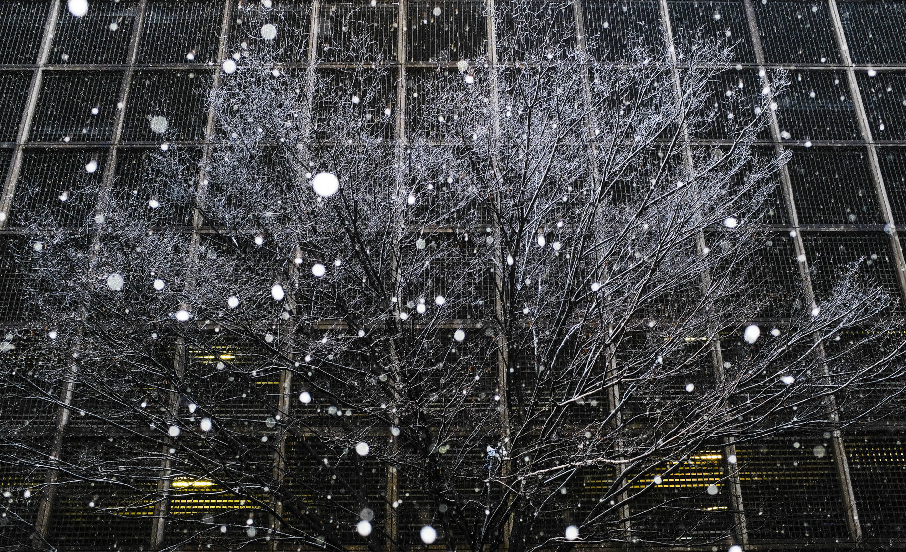 SnowFeature